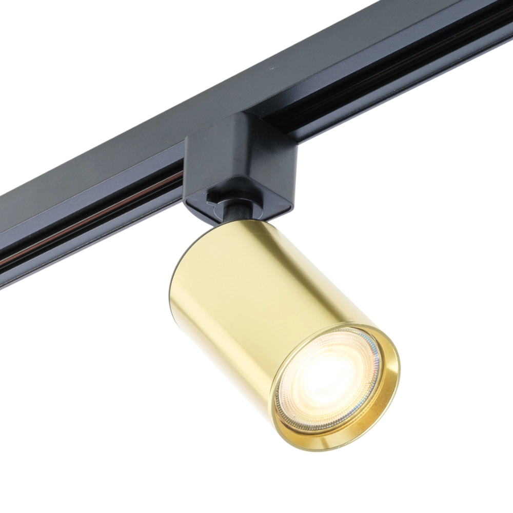 Zwarte rail met gouden GU10 spotkop in montagestuk
